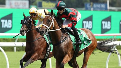 Surround Stakes 2025 .